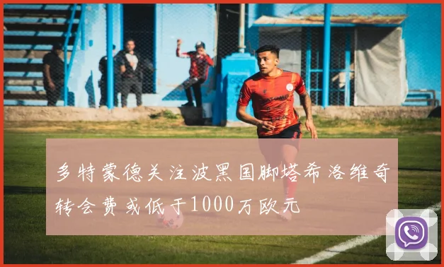 多特蒙德关注波黑国脚塔希洛维奇转会费或低于1000万欧元