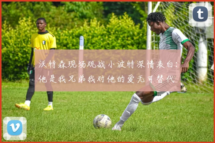 沃特森现场观战小波特深情表白：他是我兄弟我对他的爱无可替代